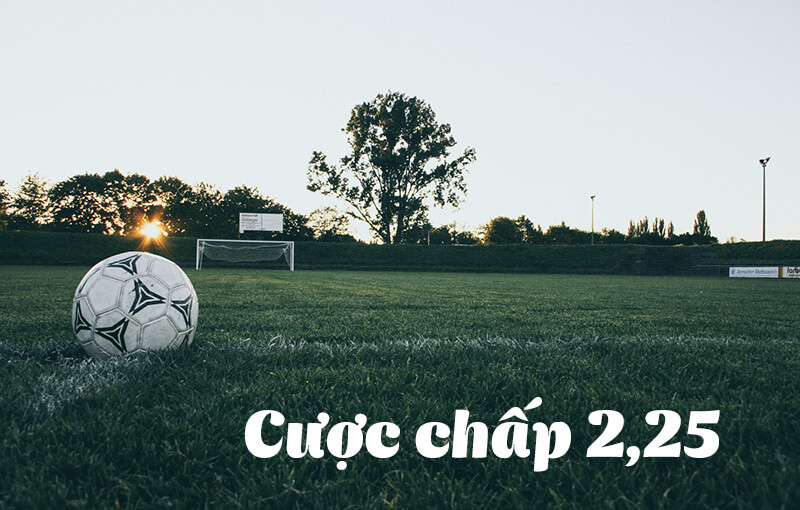 Lưu bản nháp tự động